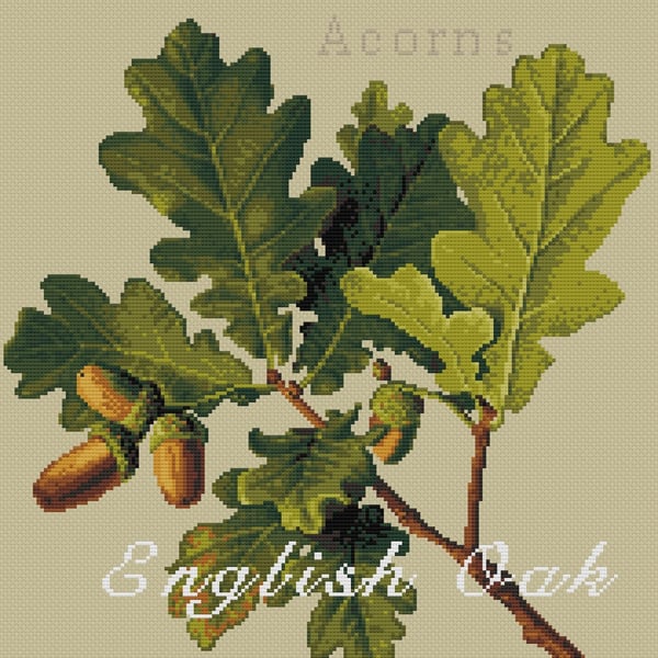 036 - Rustic English Oak and Acorns - Cross Stitch Pattern