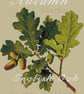 036 - Rustic English Oak and Acorns - Cross Stitch Pattern - Image 1