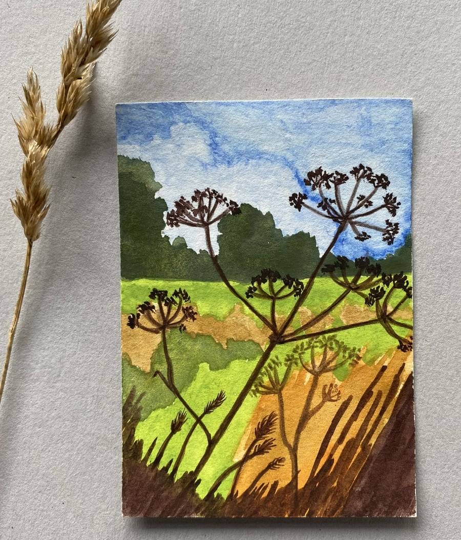 ACEO Hedge View