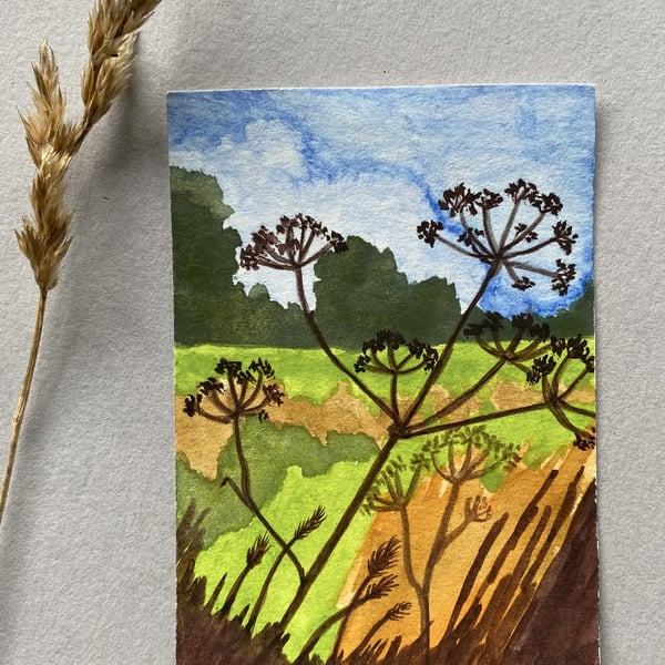 ACEO Hedge View