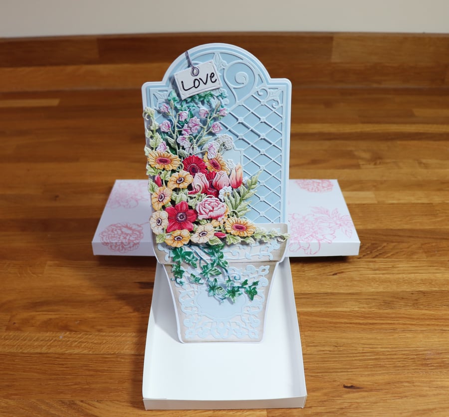 Mum's Flower Pot Garden.