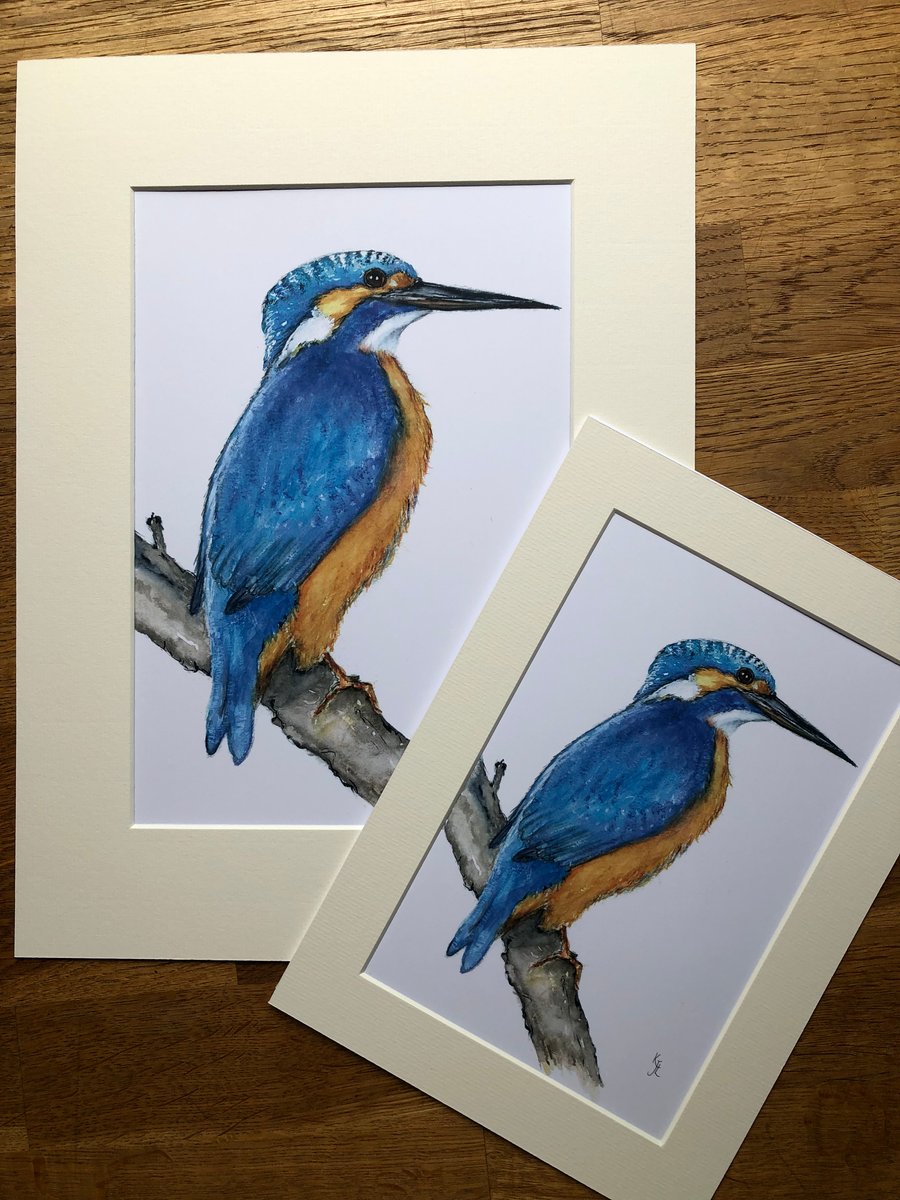 A4 or A3 mounted print of Kynance Kingfisher from my original watercolour 