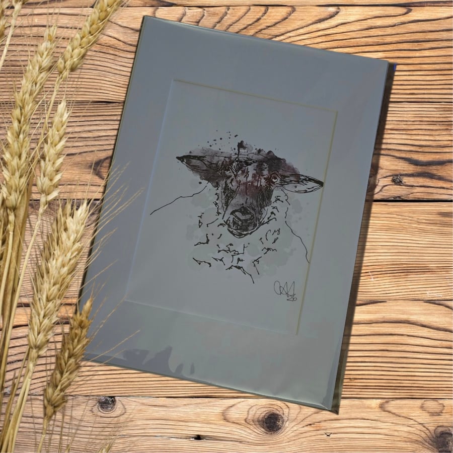 Farm animal Wall Art  Ink & Watercolour Animal Illustrations, sheep