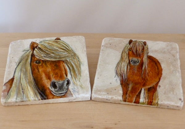 Marble 'Pony' Coasters