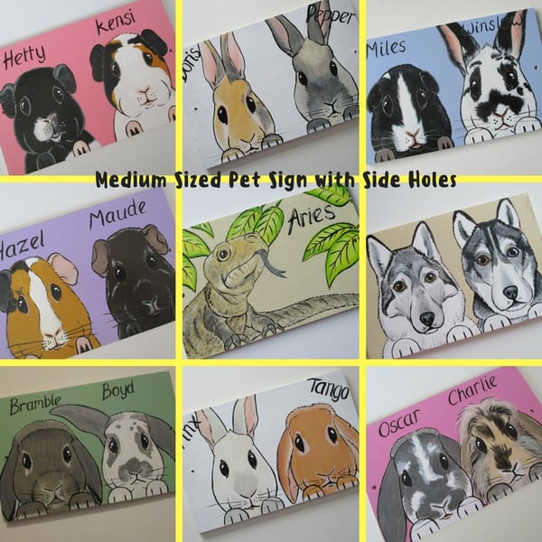 Personalised Pet Sign customised for rabbits guinea pigs cats dogs M side holes