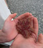 Autumn leaf embroidery decoration  - Image 5