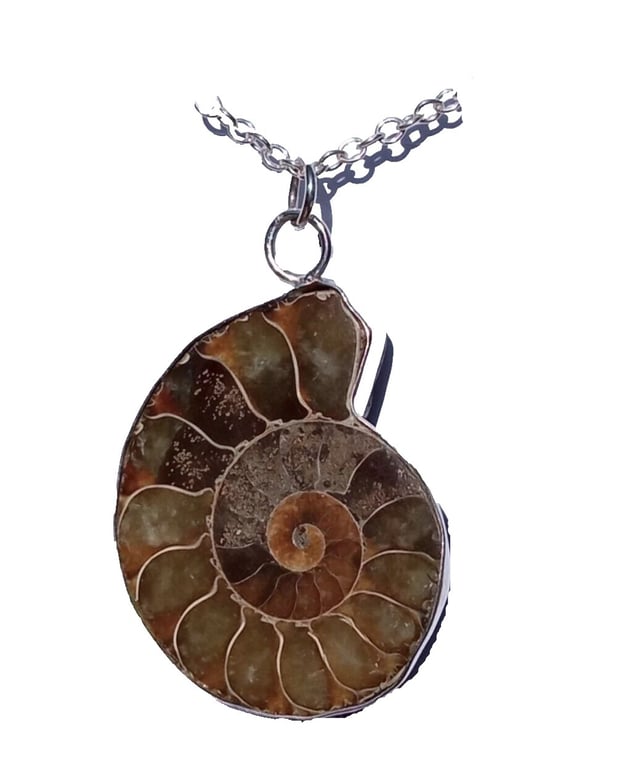 Fine & Recycled Sterling Silver Reiki Healing Large Ammonite Fossil Necklace