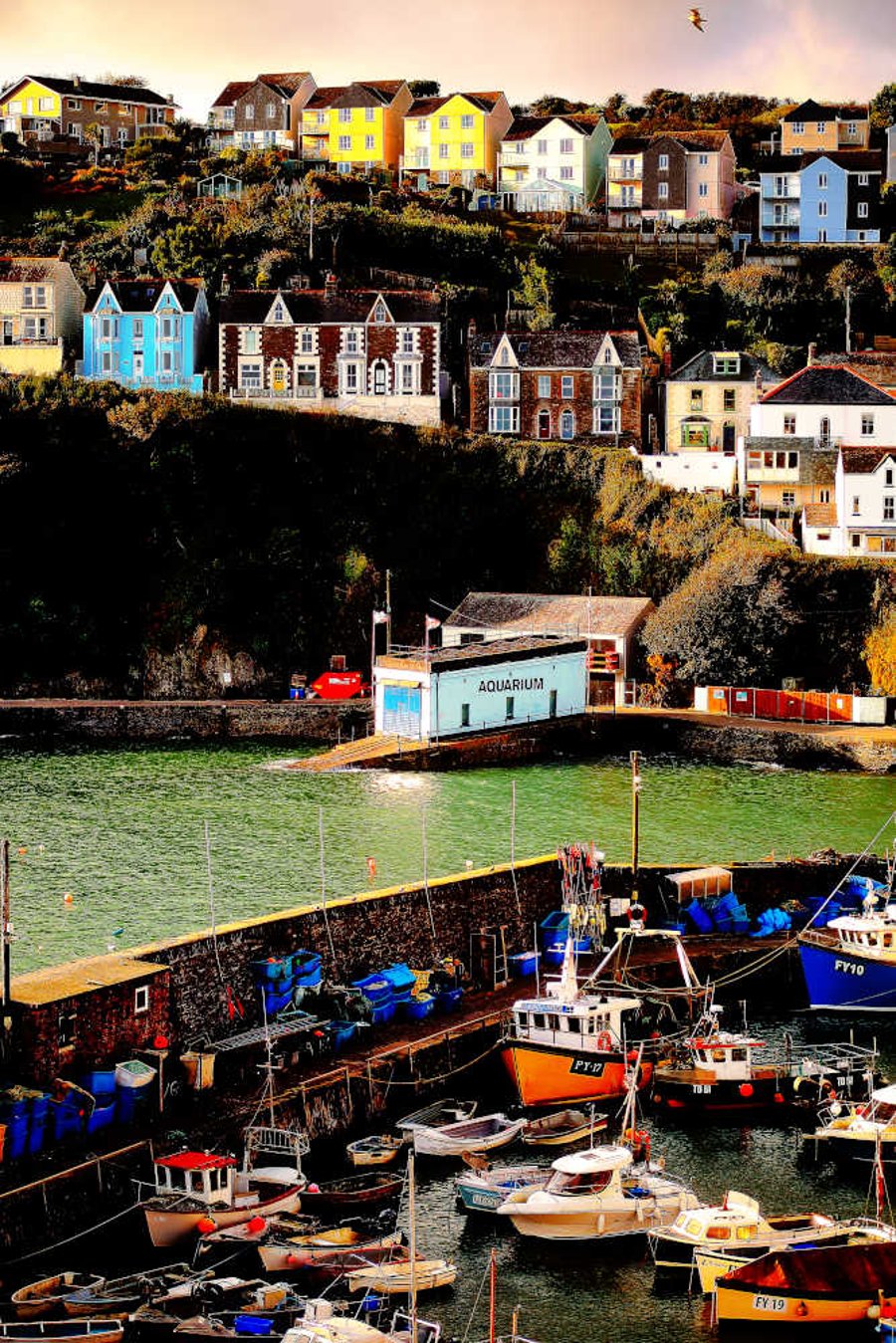 Print Mevagissey Harbour and Polkirk Hill, Cornwall Picture