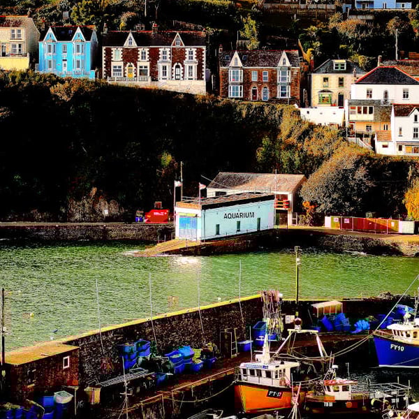 Print Mevagissey Harbour and Polkirk Hill, Cornwall Picture