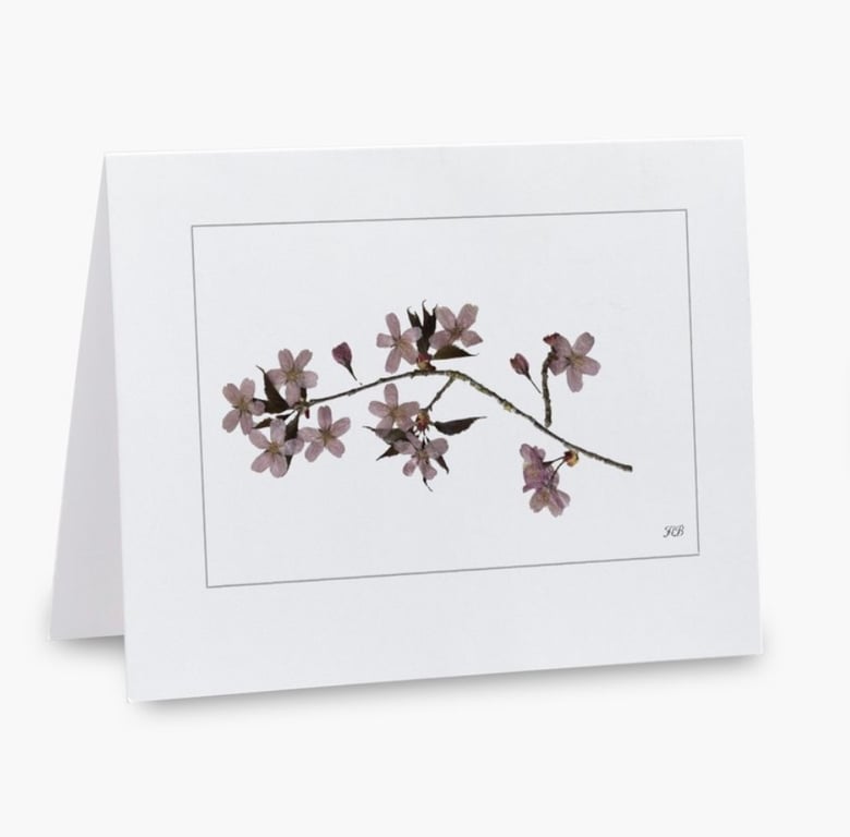 Pack of 5 Pressed Sakura Blossom Printed Greeting Cards Notelets