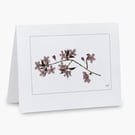 Pack of 5 Pressed Sakura Blossom Printed Greeting Cards Notelets