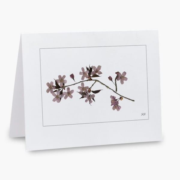 Pack of 5 Pressed Sakura Blossom Printed Greeting Cards Notelets