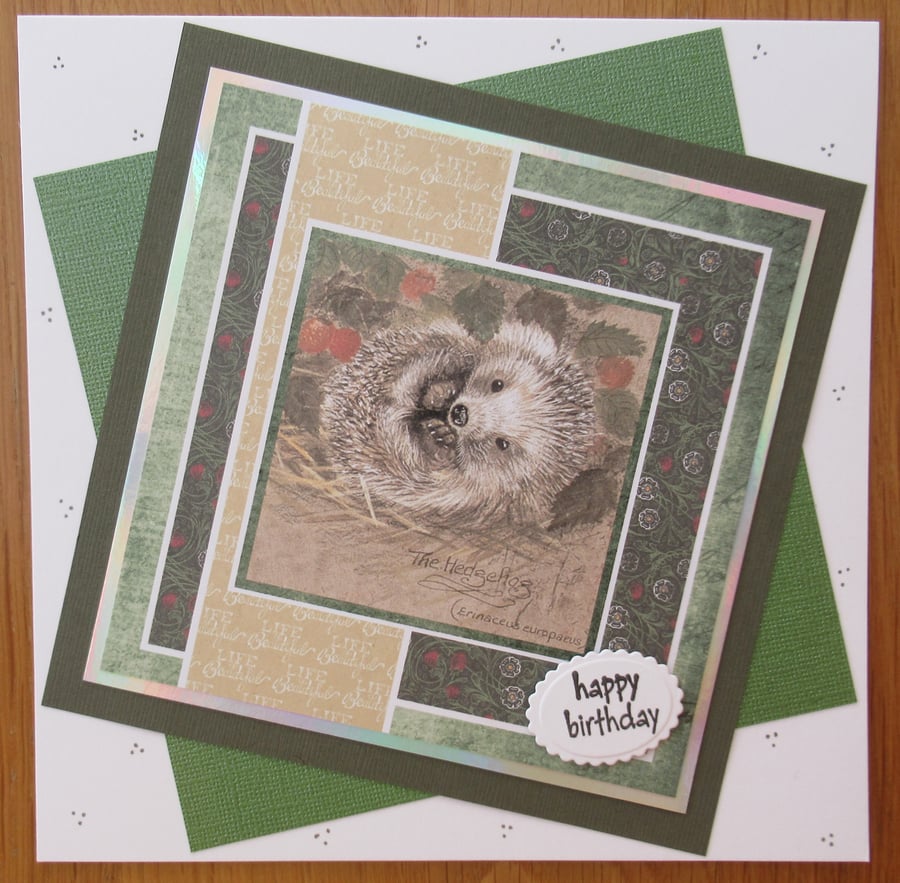 Hedgehog - 7x7" Birthday Card