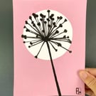 Garden Allium, seed head, shadow painting, handmade art, signed