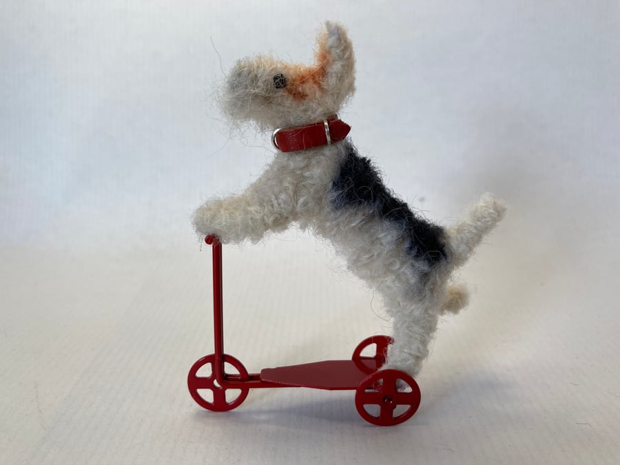Fluff - Fox Terrier on a Scooter 