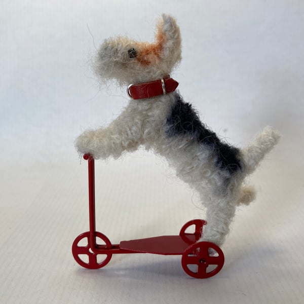 Fluff - Fox Terrier on a Scooter 