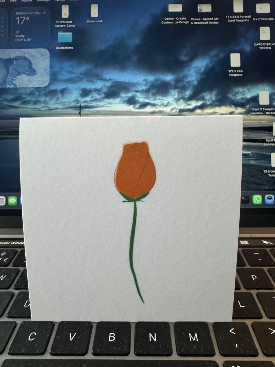 Custom Rose Birthday Card