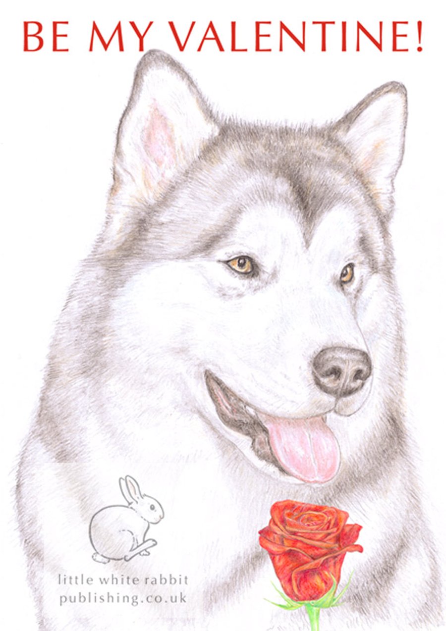 Hugo the Alaskan Malamute - Valentine Card