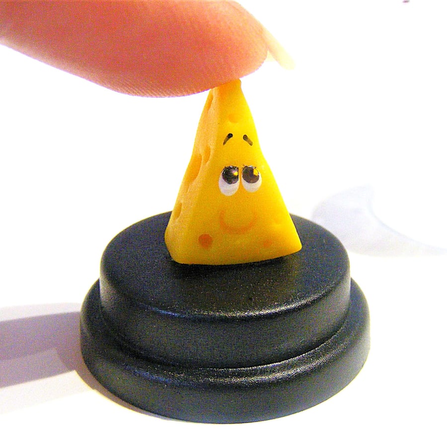 Pet Cheese, cheese gift, cheese lover gift, cheese slice