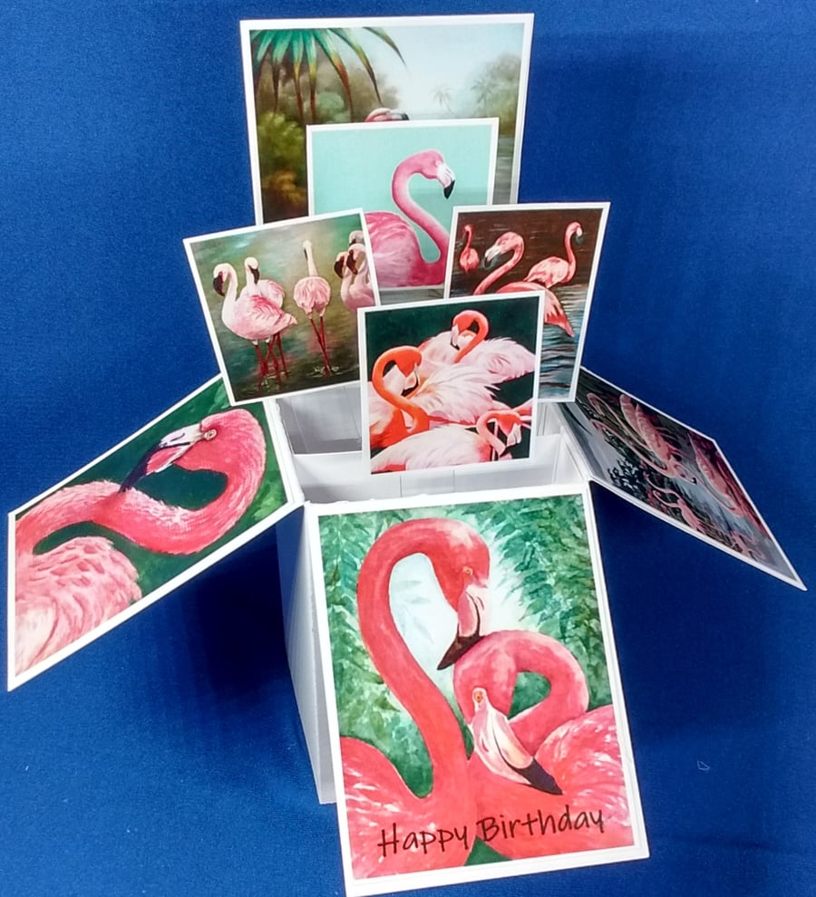 Birthday Card with Flamingos