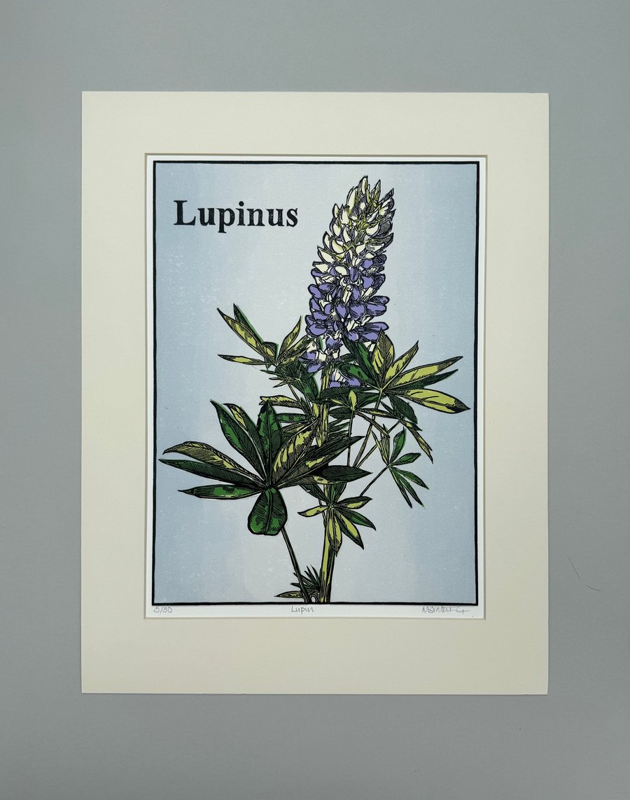 Lupin - Original Linocut Print