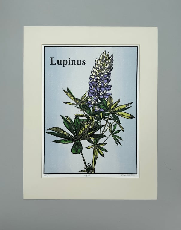 Lupin - Original Linocut Print
