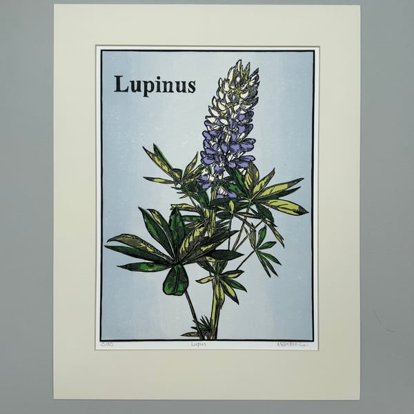 Lupin - Original Linocut Print