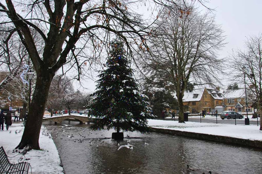 Bourton On The Water Christmas Tree Photograph Print