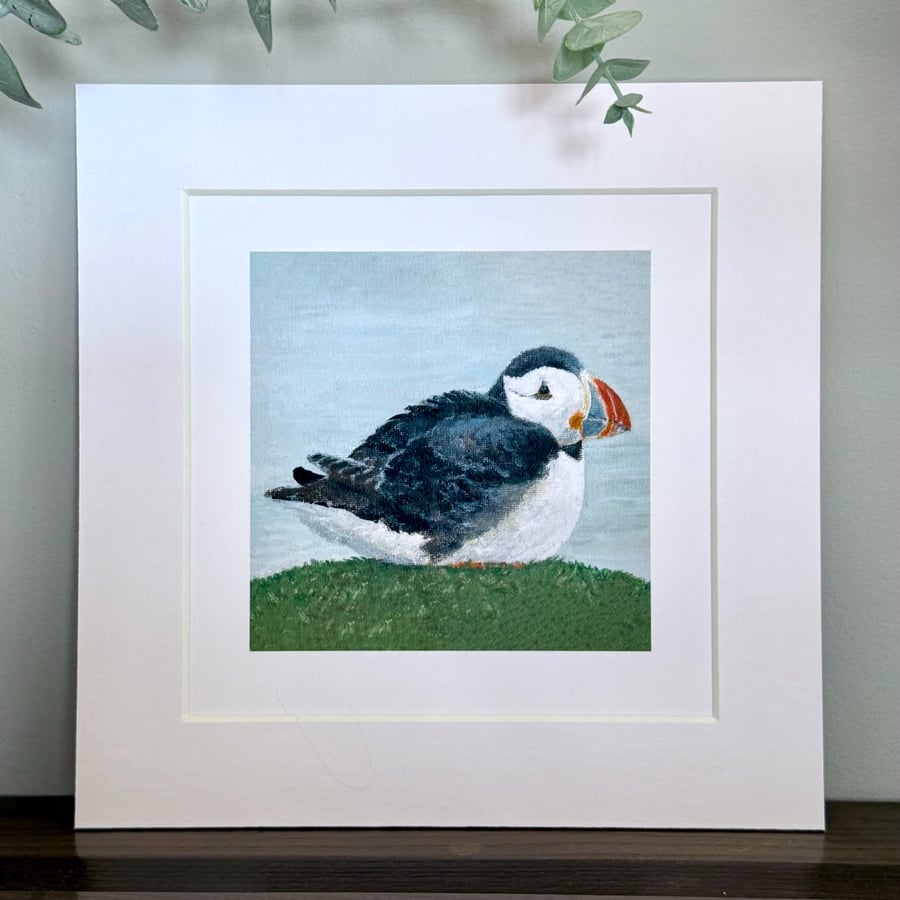 Puffin Mounted Print