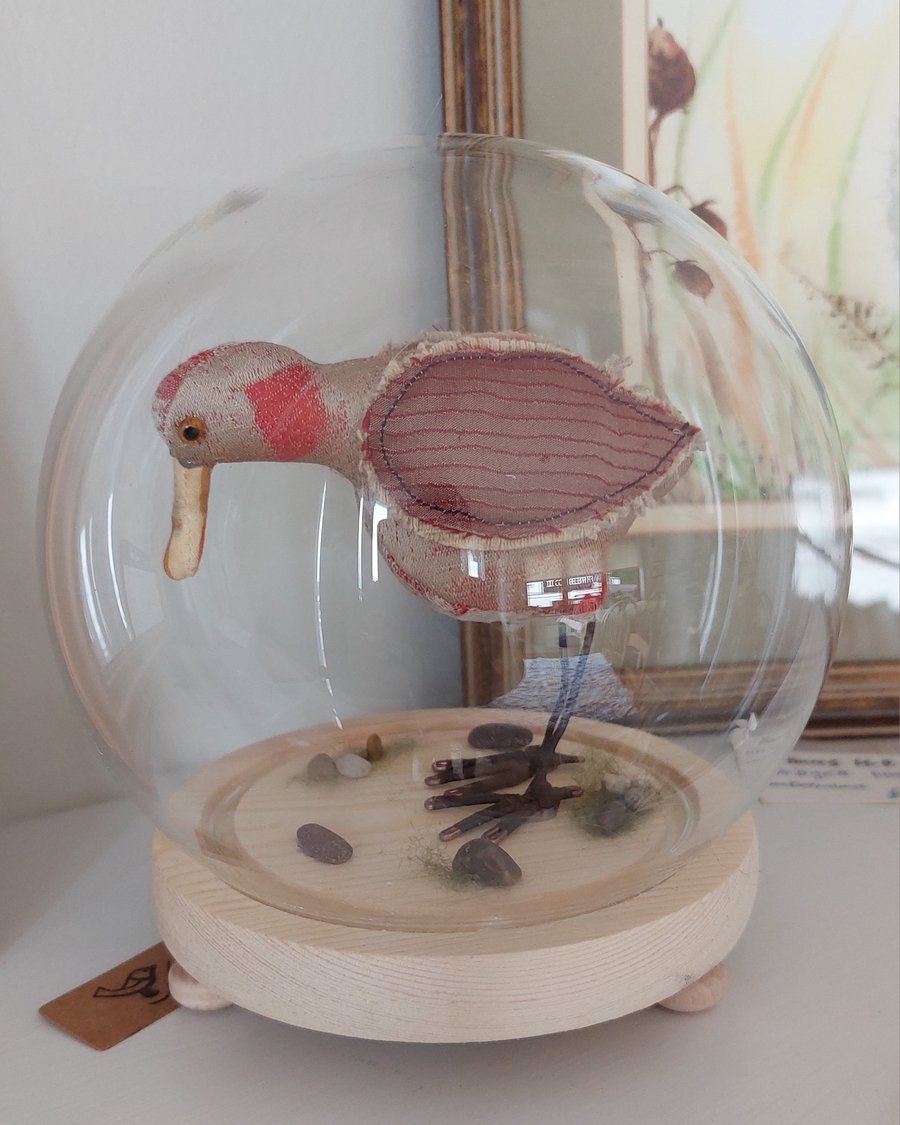 Small wader in bubble - The Yard Cafe, Weir Quay 