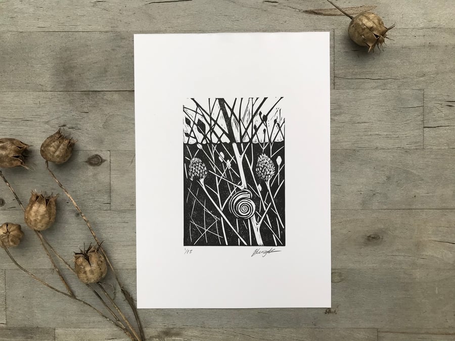 Snail and seed heads: Hand printed lino cut by Suffolk artist Beth Knight