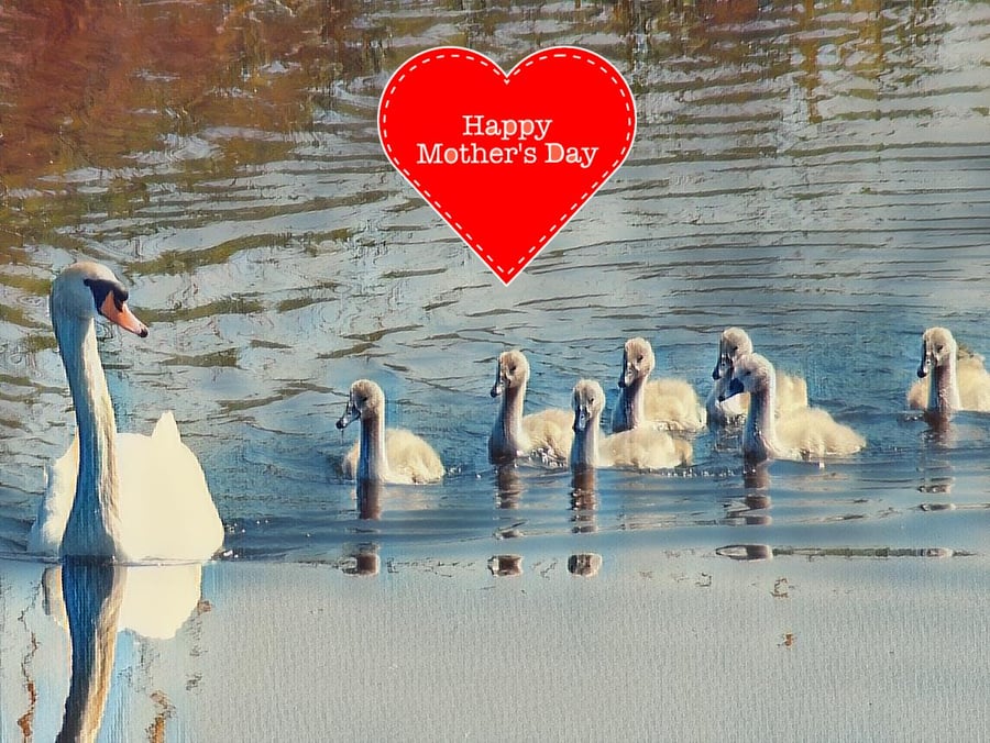 Mother's Day Card Swan & Cygnets 