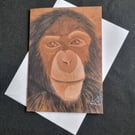 Could be any Family Member