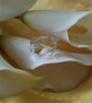 Tulip ring - Image 2