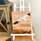 Gannet acrylic painting on oak