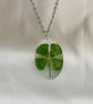 A beautiful handmade resin necklace a real 4 leaf clover