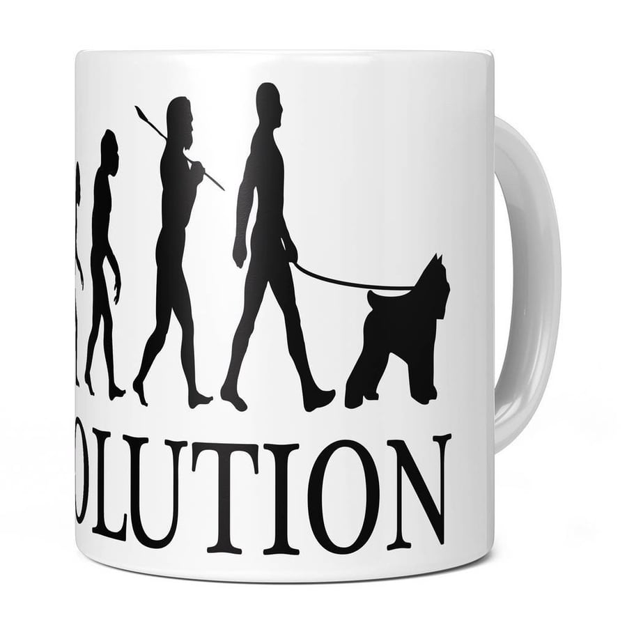 Bouvier Des Flandres Evolution 11oz Coffee Mug Cup - Perfect Birthday Gift for H