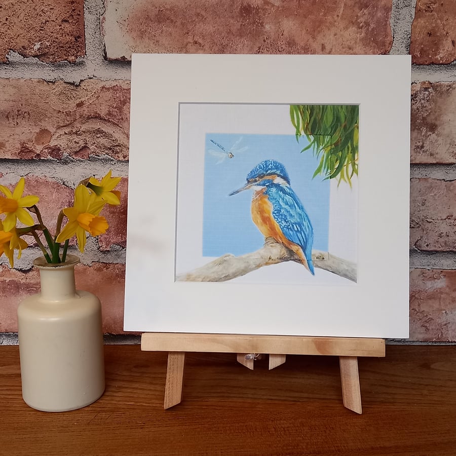 Kingfisher mounted art print