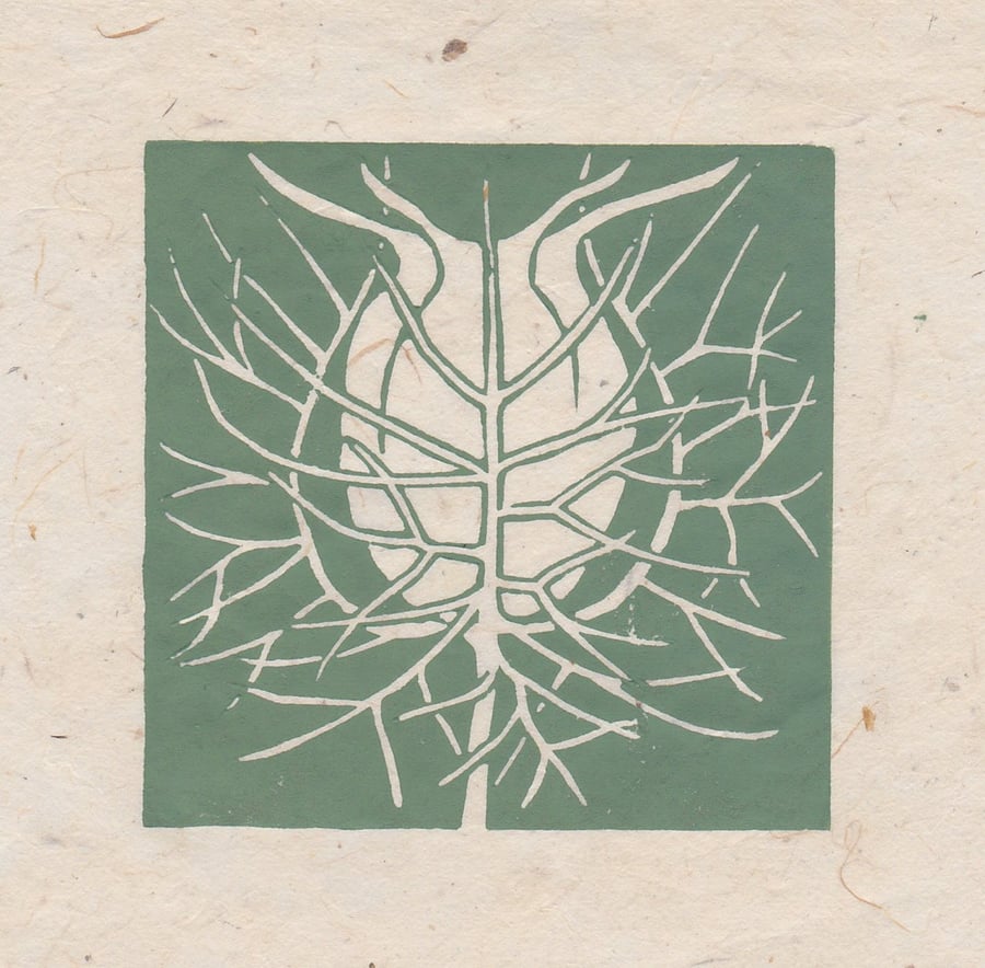 Nigella seed head mini linocut print
