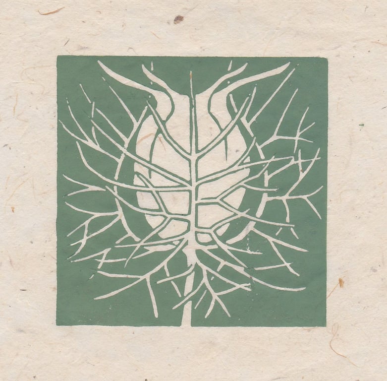 Nigella seed head mini linocut print