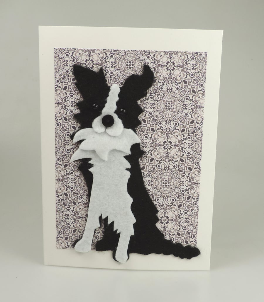 Border Collie Dog Card, Blank inside, Birthday, Greeting, Get well, Housewarming
