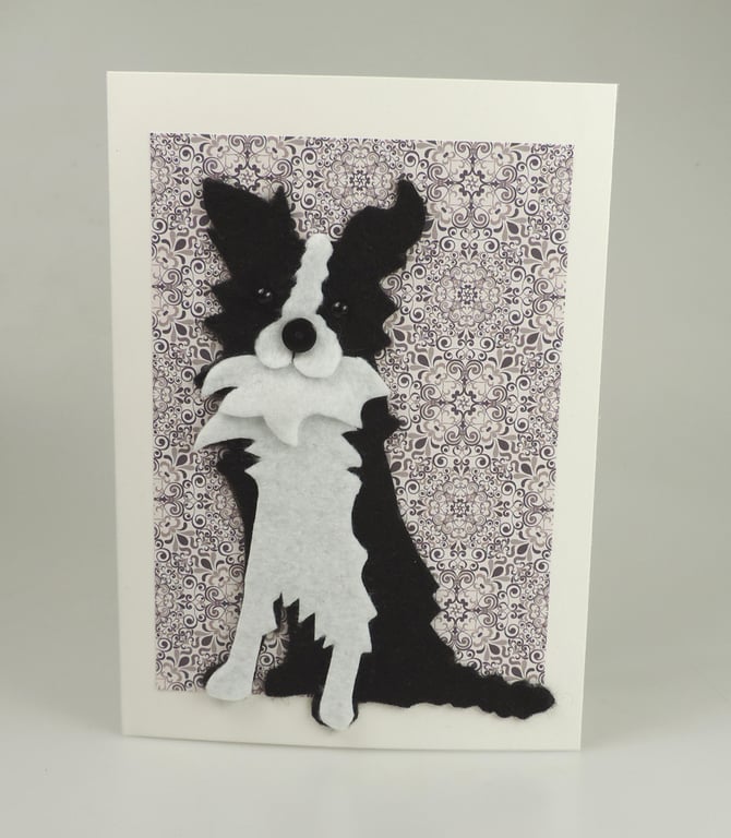 Border Collie Dog Card, Blank inside, Birthday, Greeting, Get well, Housewarming