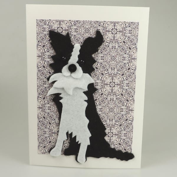 Border Collie Dog Card, Blank inside, Birthday, Greeting, Get well, Housemoving