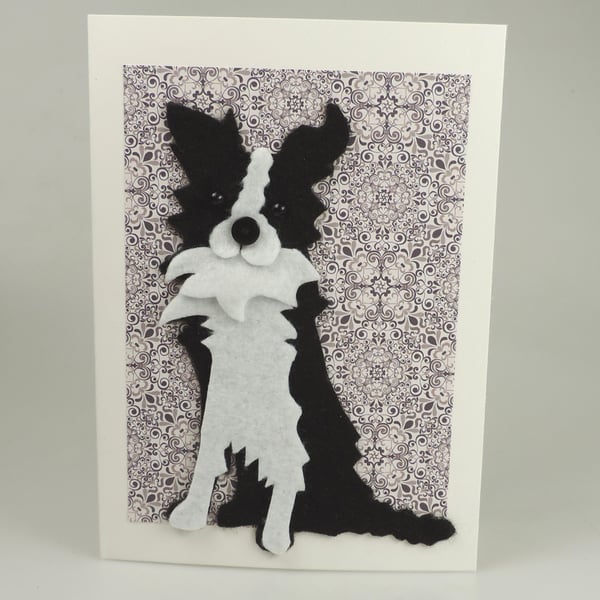 Border Collie Dog Card, Blank inside, Birthday, Greeting, Get well, Housewarming