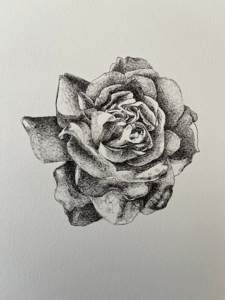 Flower from a garden