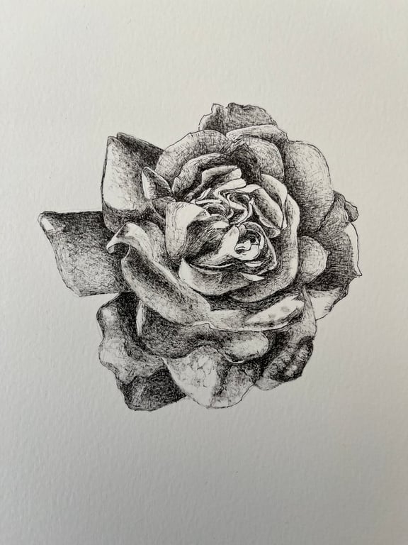 Flower from a garden