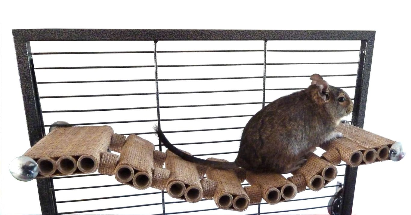 Totally Degu Rope Bridge – One pack