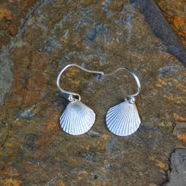  Scallop Shell Earrings