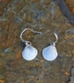  Scallop Shell Earrings - Image 1