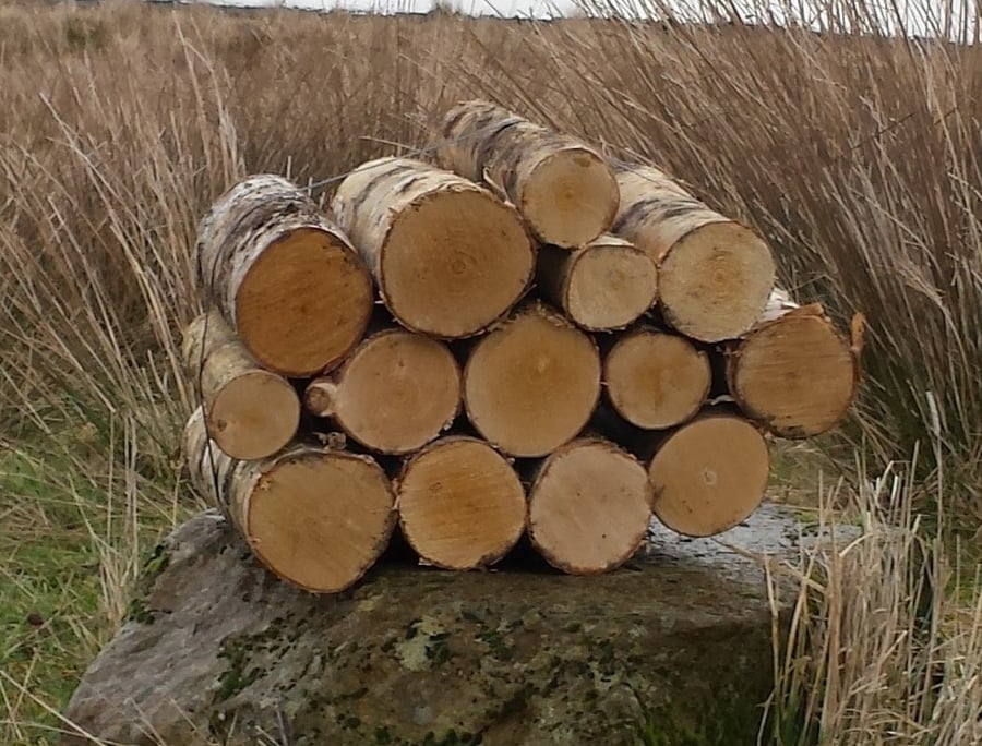 Round Logs - Silver Birch - Kiln Dried - Bundle Mix Dias - 24cm Rough Sawn Edges